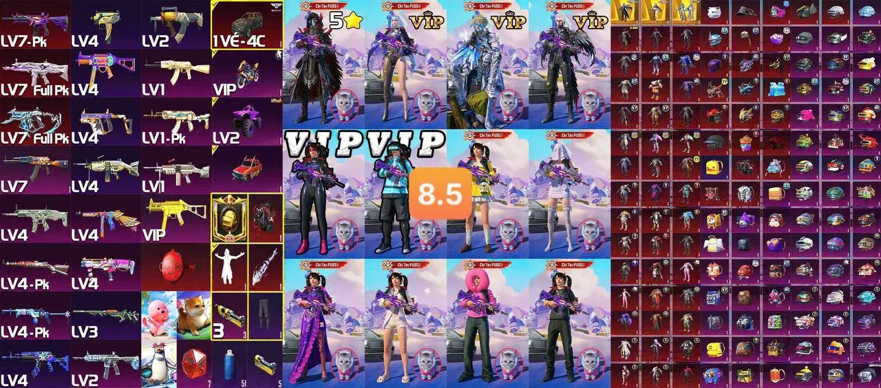 VBZAG