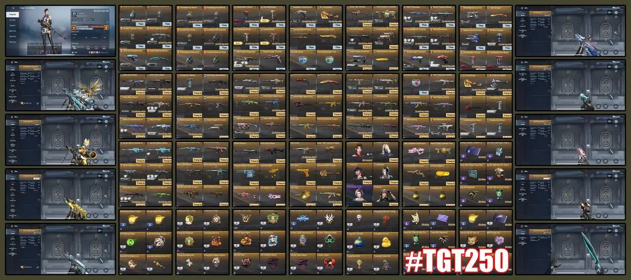TGT