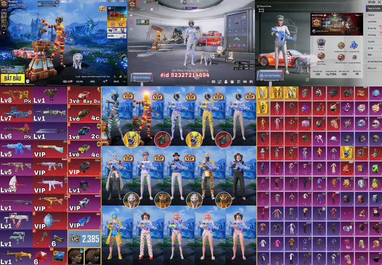 CSA
