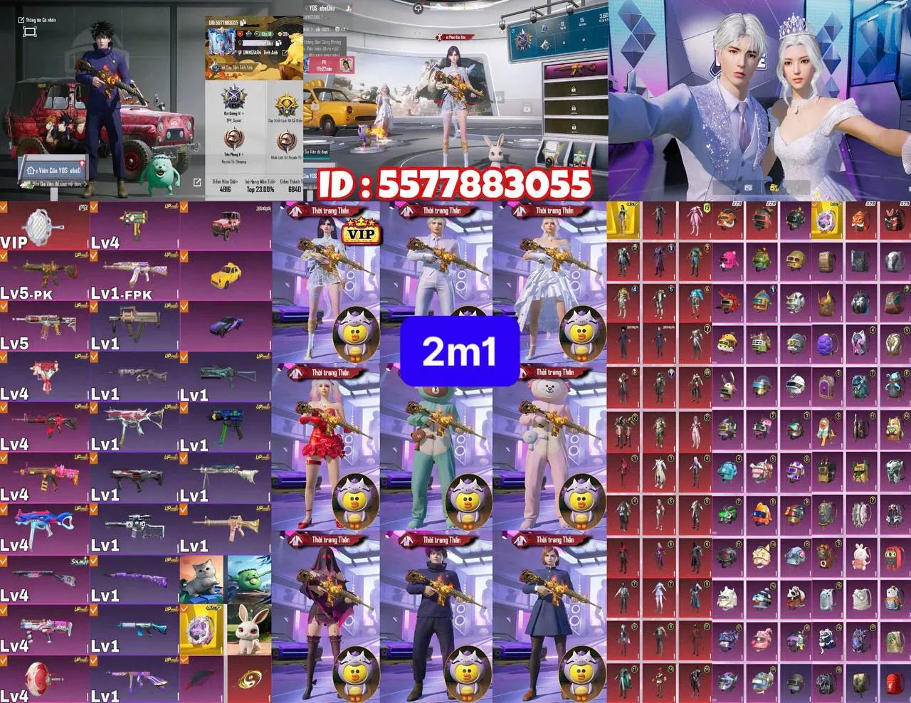 TTG