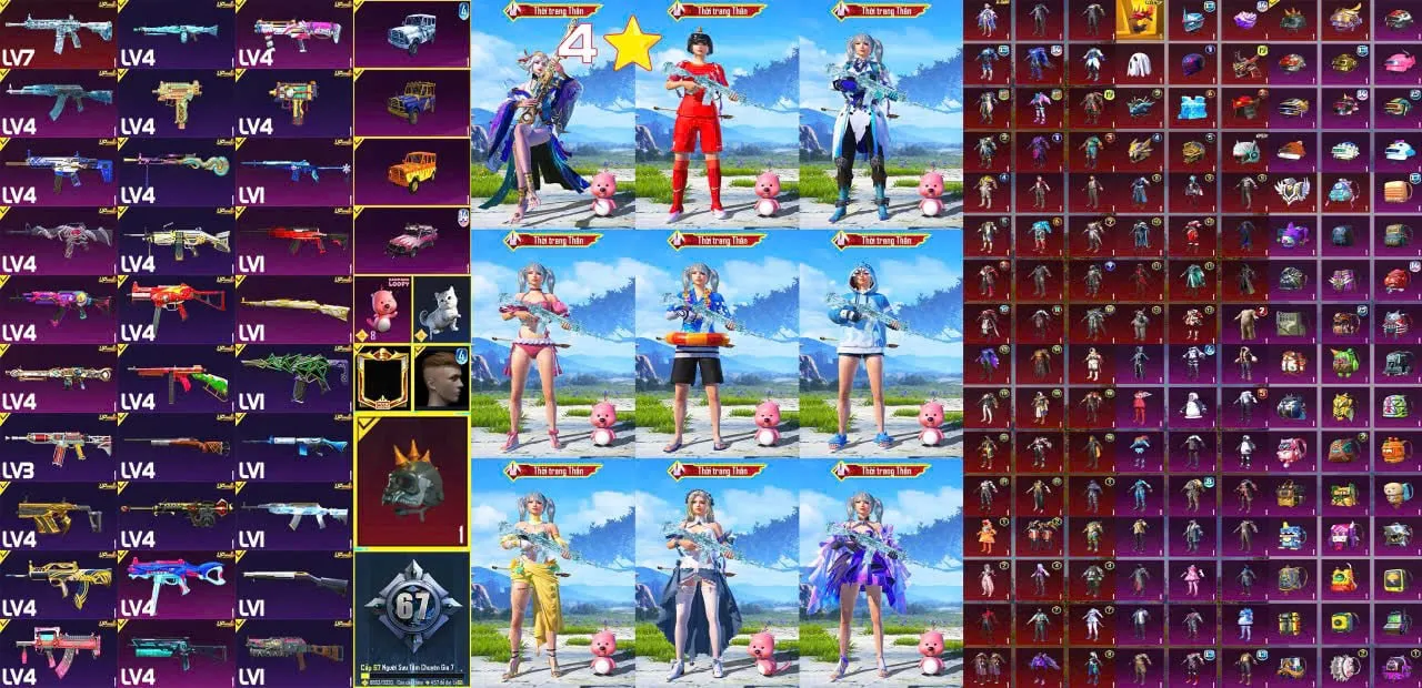 NVT24