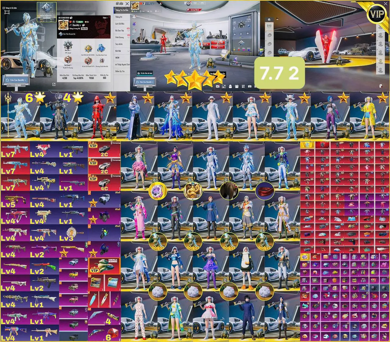 VBTRI