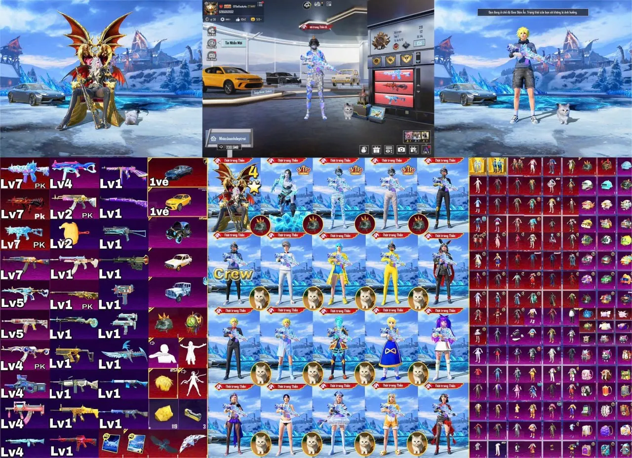 BNGOC