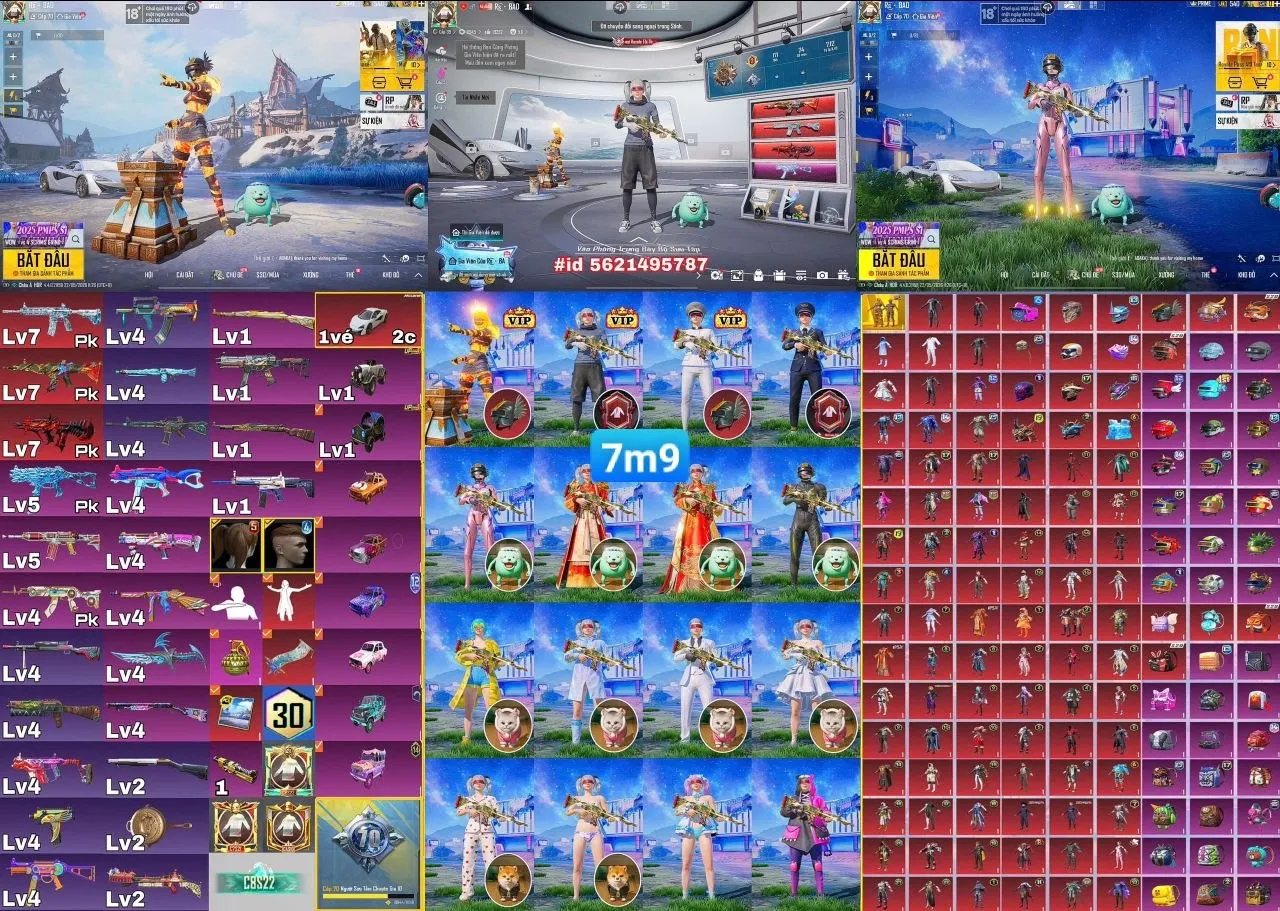 1231