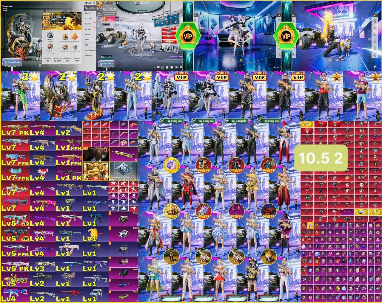 VBTRI