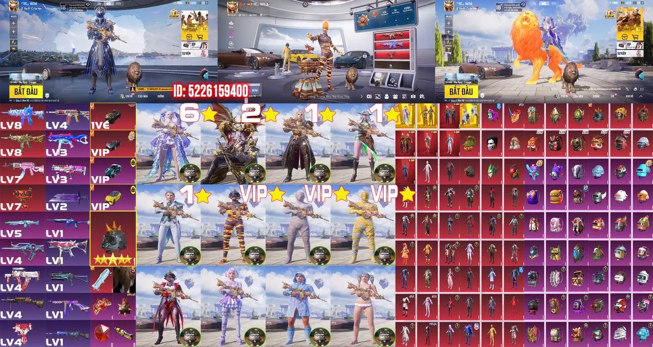 ANN