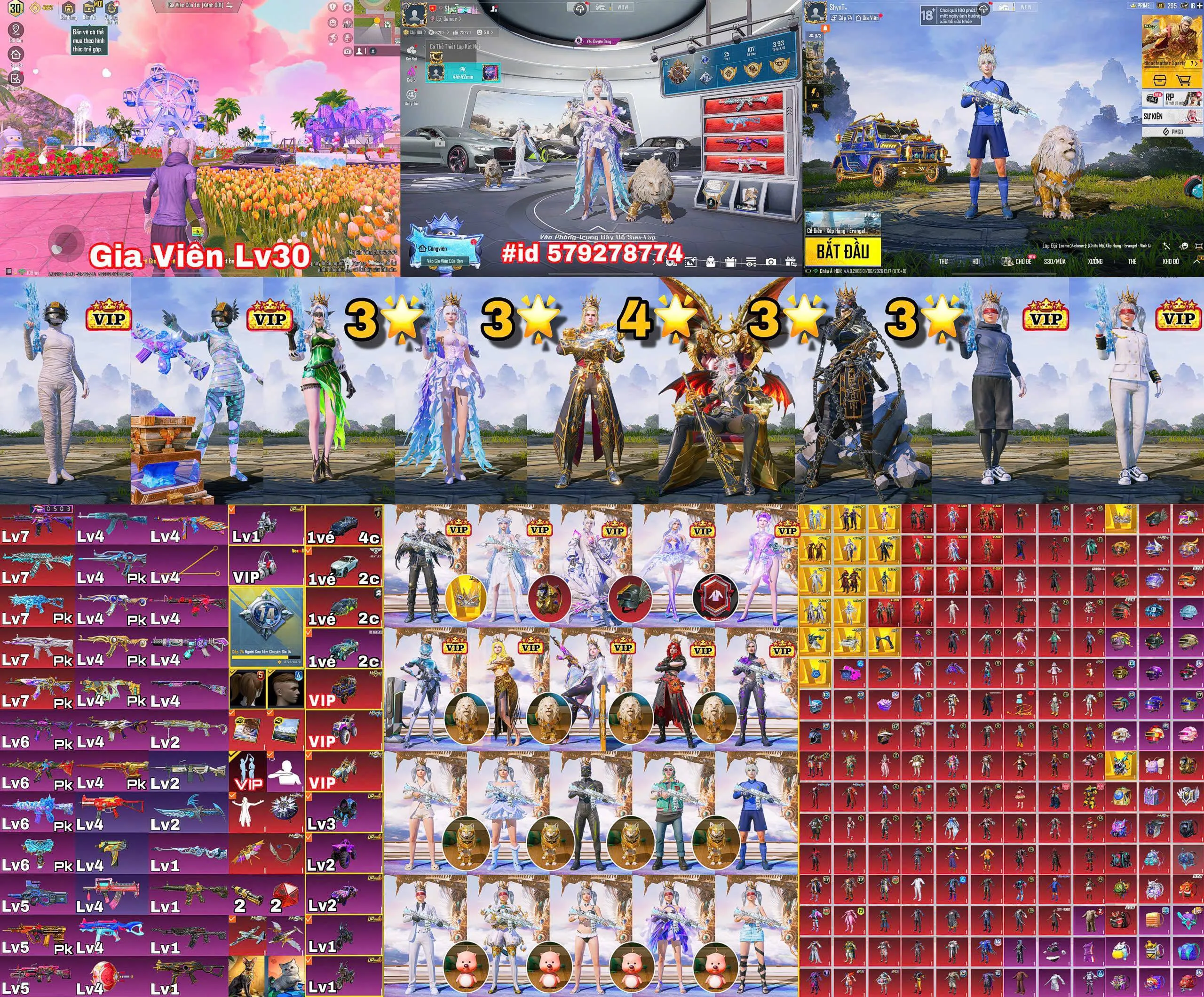 VTD